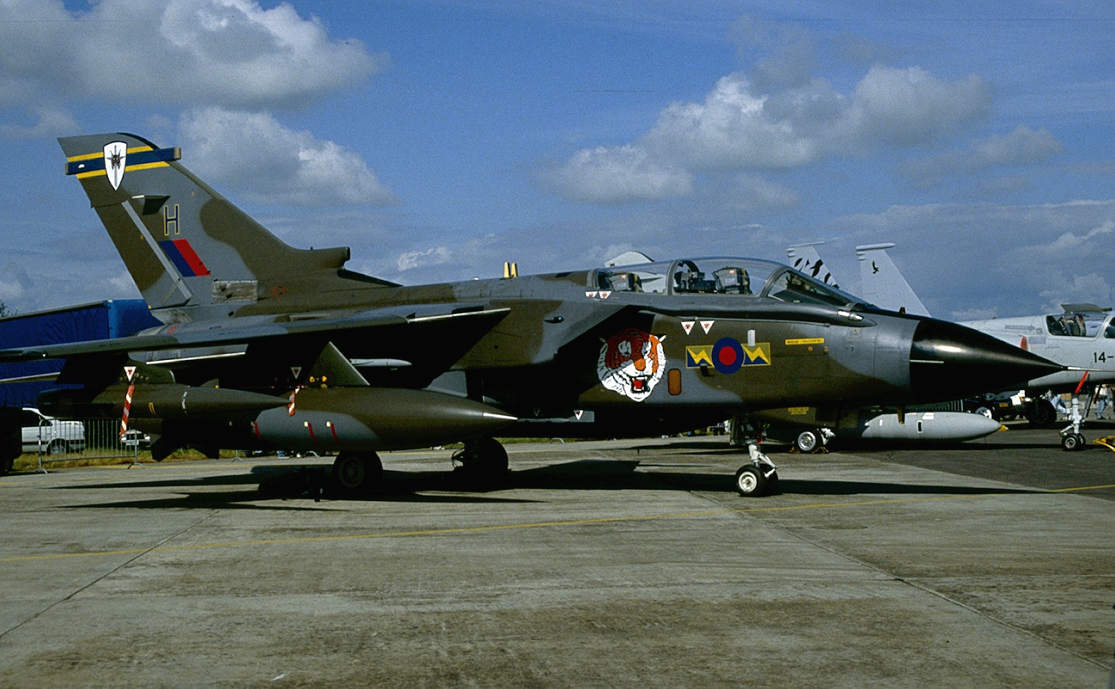 FFD91 TORN 13 H.jpg