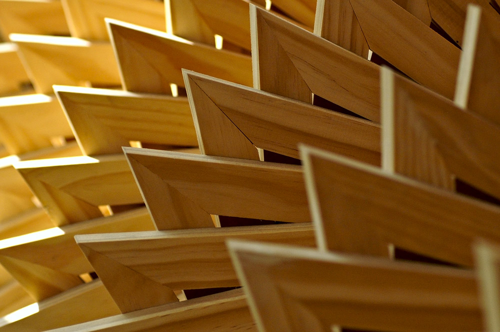 Wood Sculpture