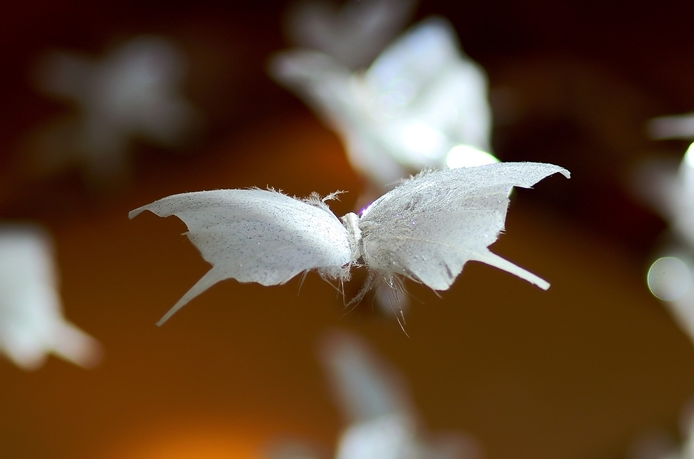 Paper Butterfly