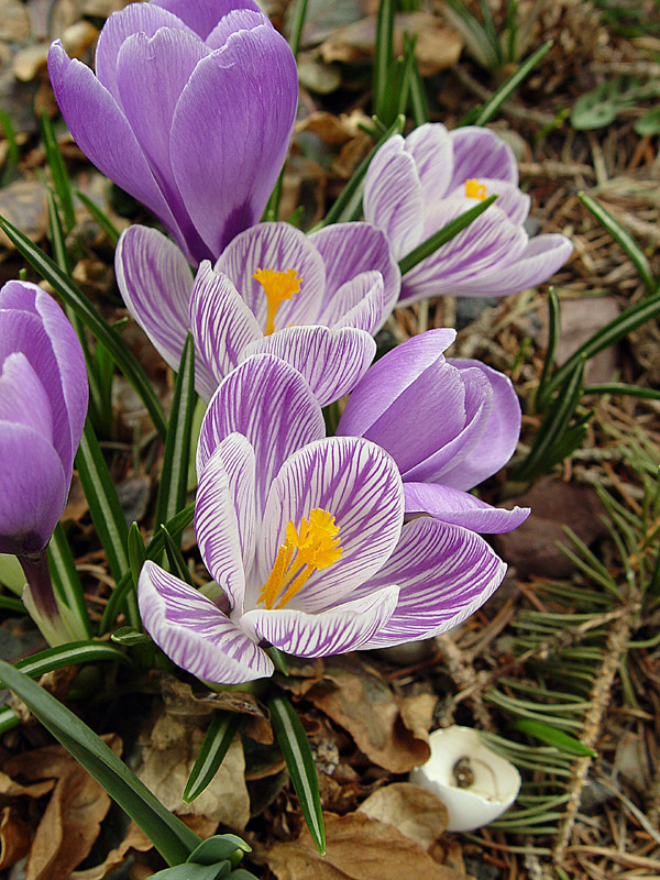 DSC09295sm.jpg