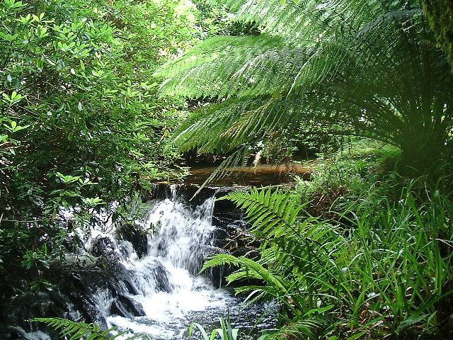 Waterfall