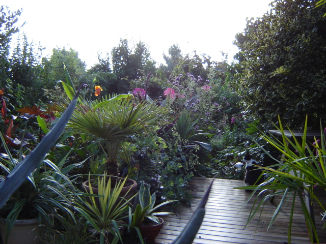 DSC00440.JPG