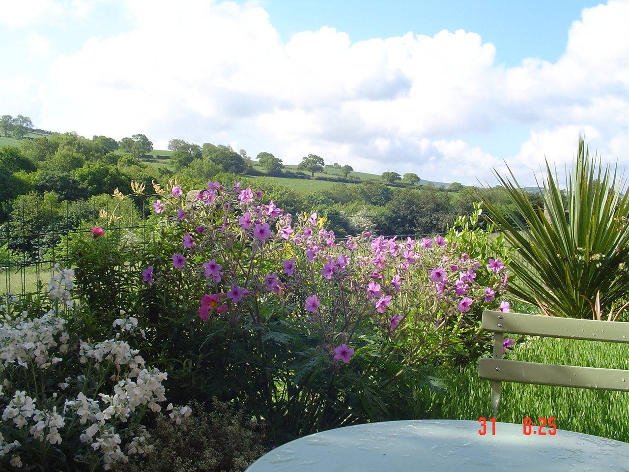 View from Med garden .JPG