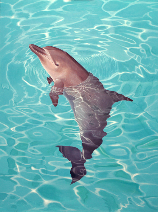 dolphin_3_low_res.jpg