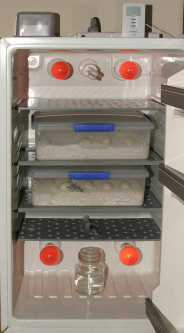 incubator low res.jpg