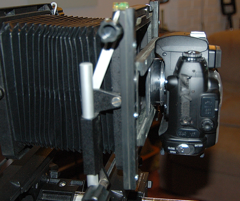 DSC_1266.jpg
