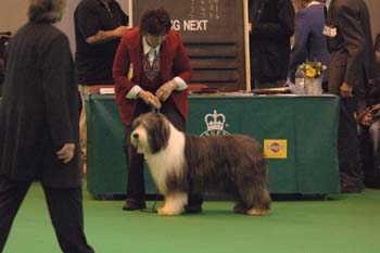 crufts2006 180.jpg