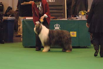 o4/76/594476/1/57072624.crufts2006183.jpg