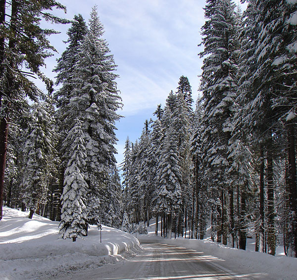 Entrance to Yosemite  on Hwy 120