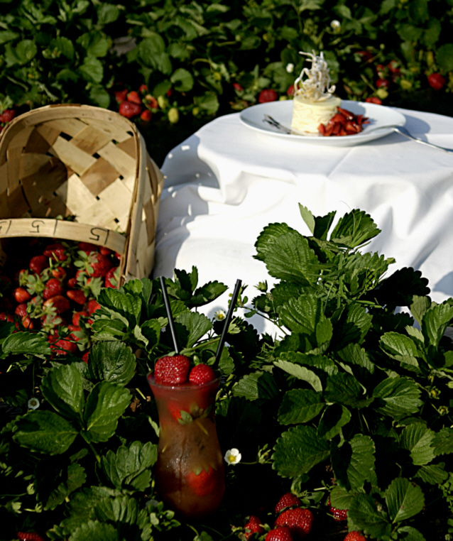 CRW_3271_RT8.jpg