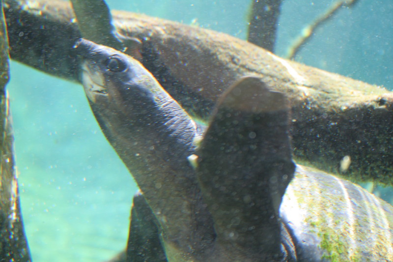 IMG_9033.JPG