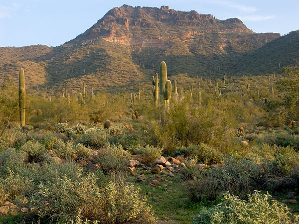 Usery Mtn 012205 05.jpg