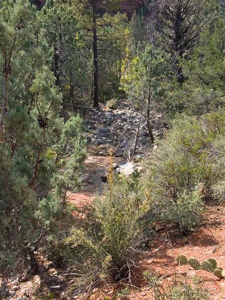 Sedona 050924 01.jpg