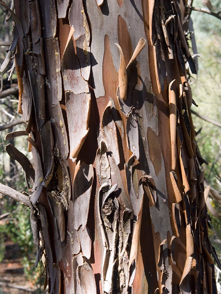 Sedona 050924 04.jpg