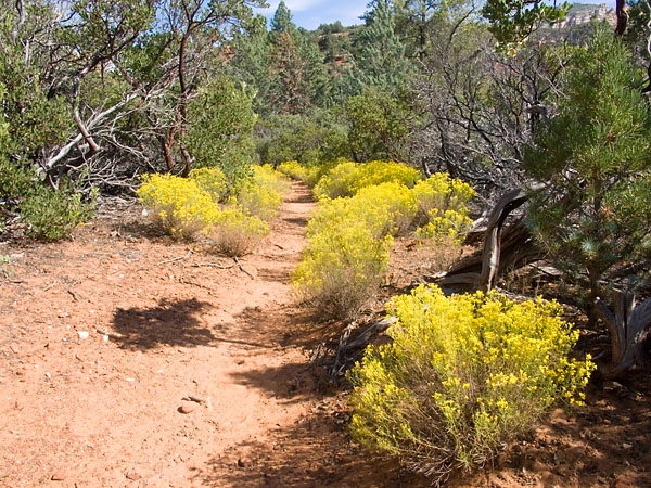 Sedona 050924 05.jpg