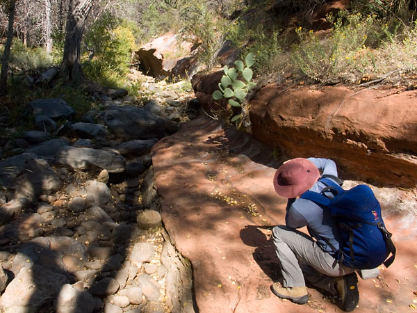 Sedona 050924 08.jpg