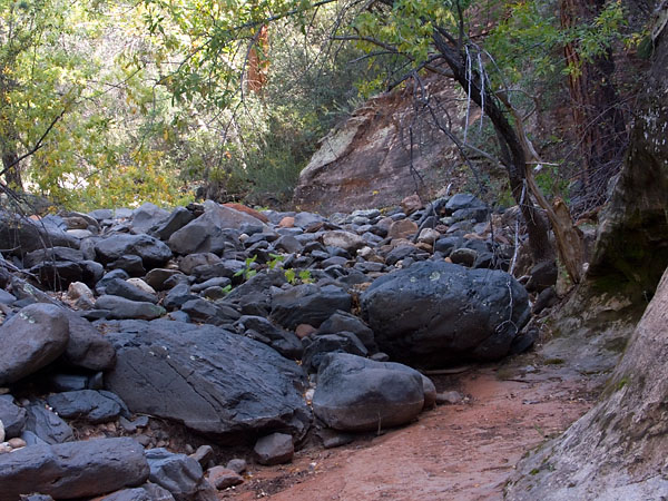 Sedona 050924 17.jpg
