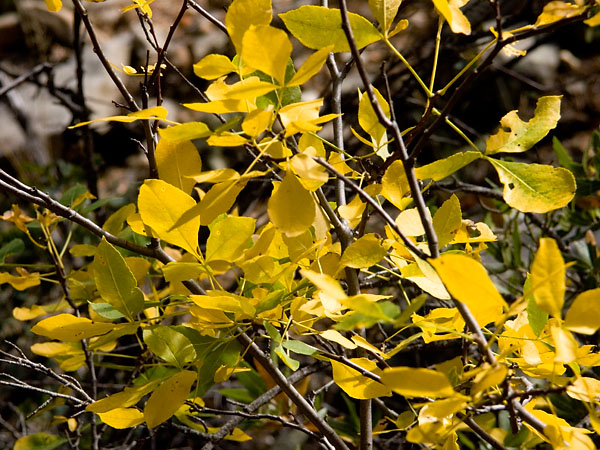 Sedona 050924 38.jpg