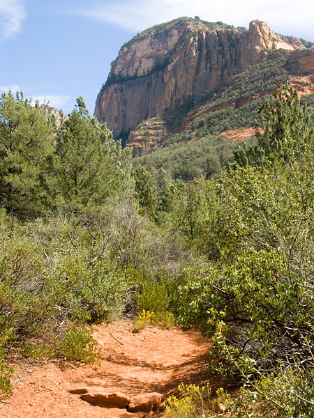Sedona 050924 46.jpg