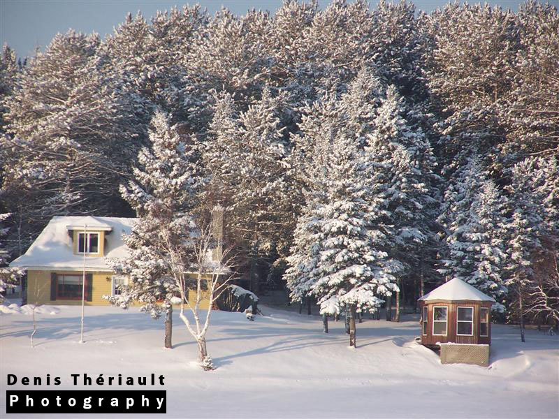 Winter Scene under sunshine