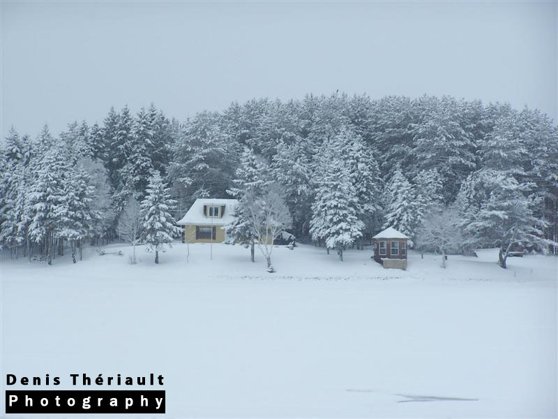 Winter Scene