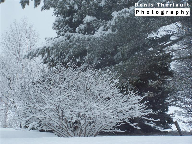 After a snowfall