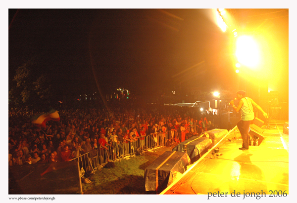 crowd - reggae geel