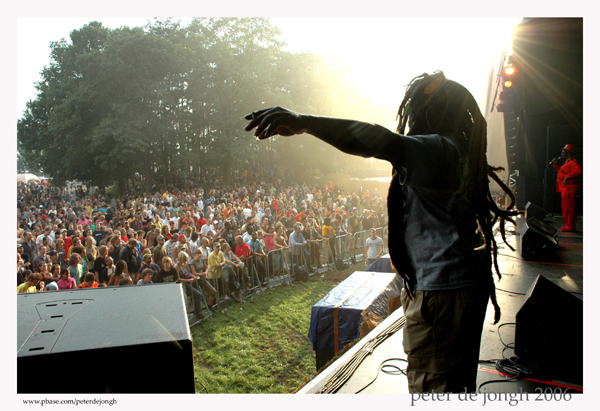 ricky chaplin - reggae geel
