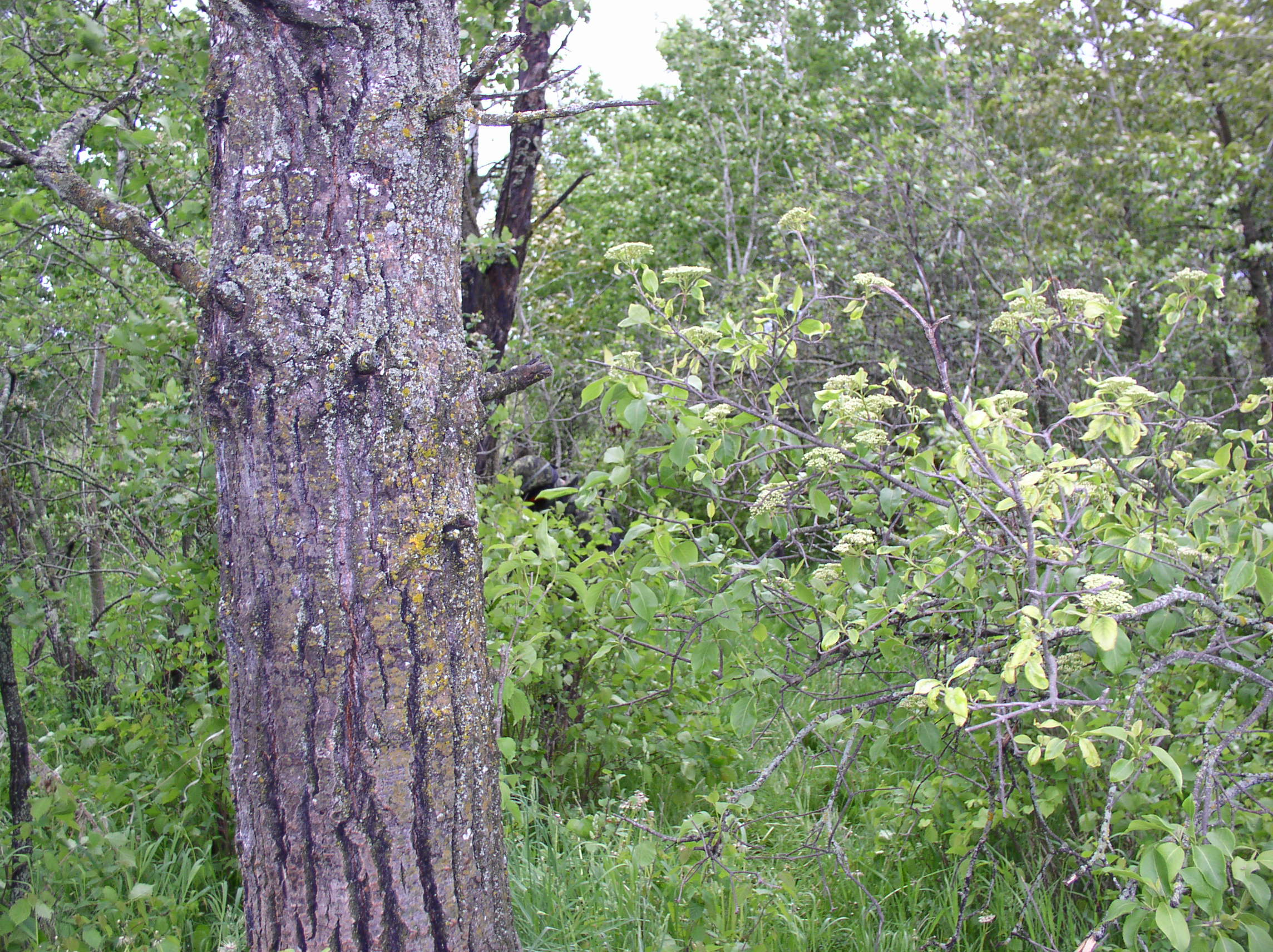 P1010256.JPG