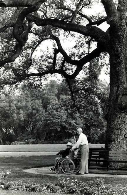 Old Oaks Pasadena, CA 1983