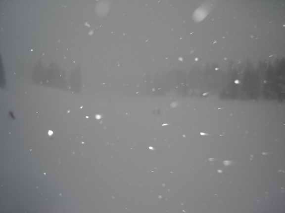going down the slope before i ate it and screwed up my neck