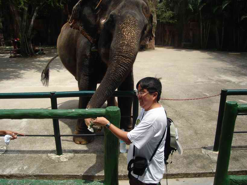 me tipping 20 baht to the elephant