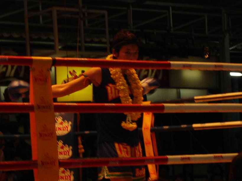 the thai fighter