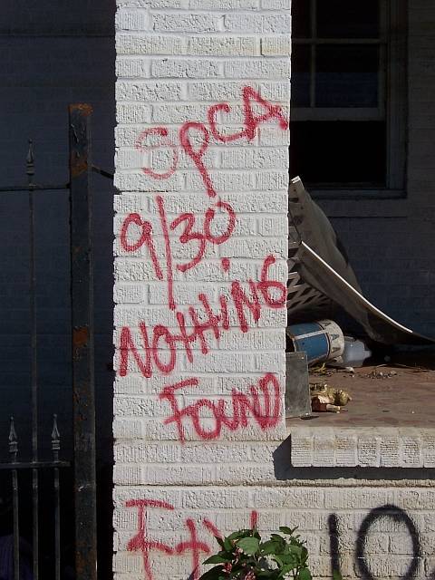 Katrina80.jpg