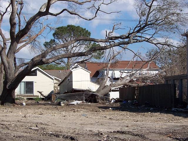 Katrina82.jpg