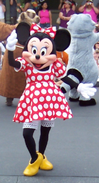 DCT29.jpg