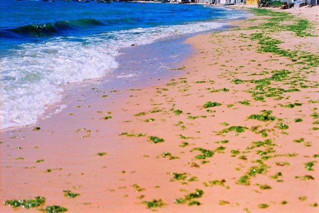 Praia das Conchas