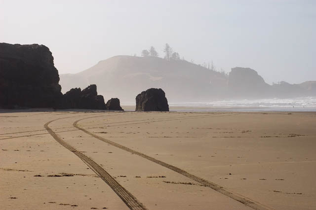Tracks In The Sand