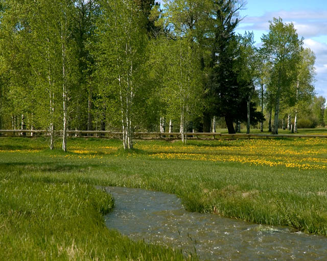 Fort Bridger, Wy.