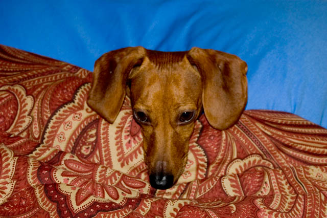 All Tucked In