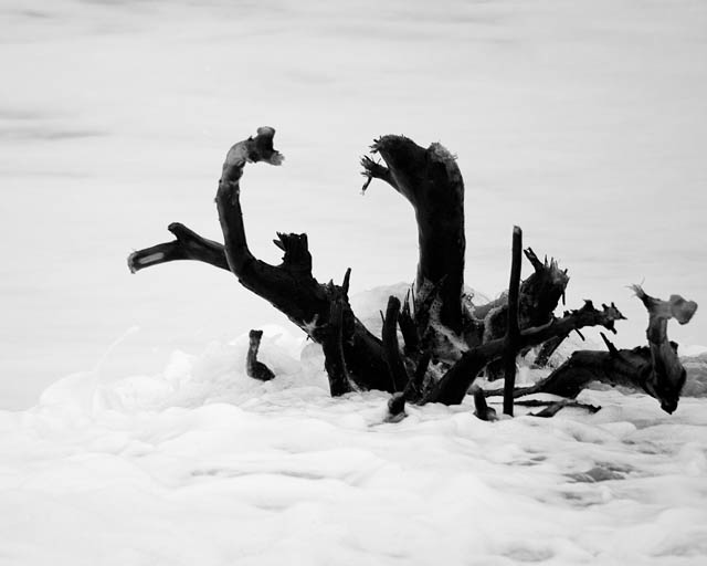 Sea Foam And Sea Serpent
