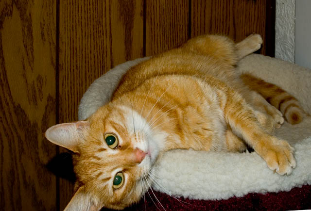 Take My Picture
