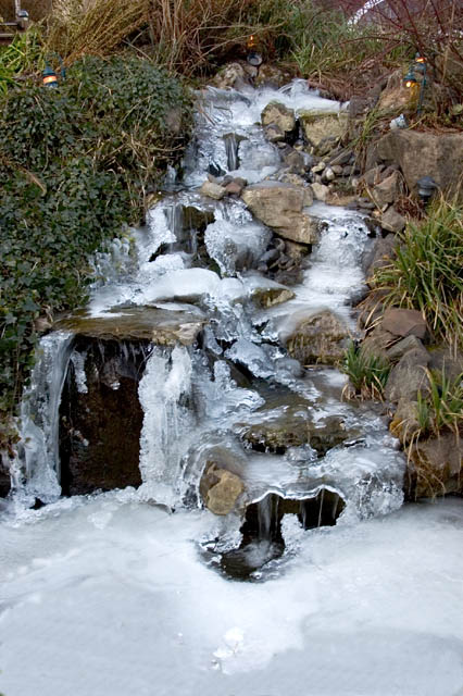 Frozen