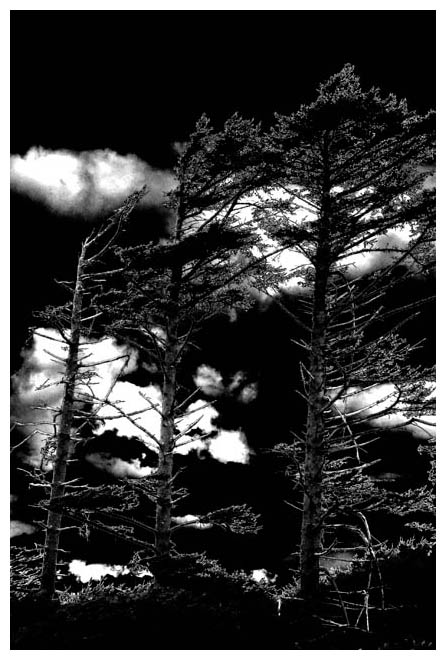 Etching