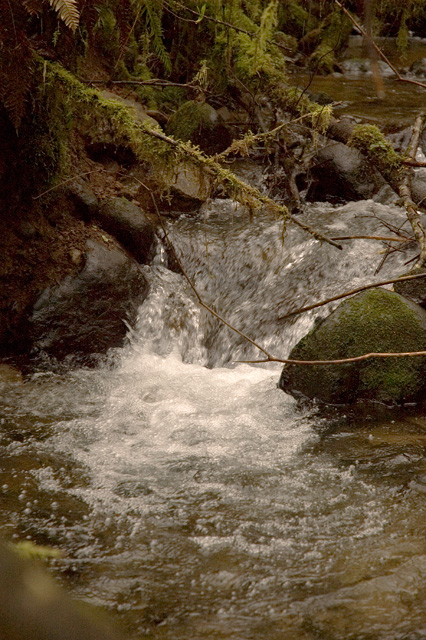 Water Fall