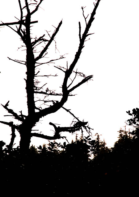 Darkness