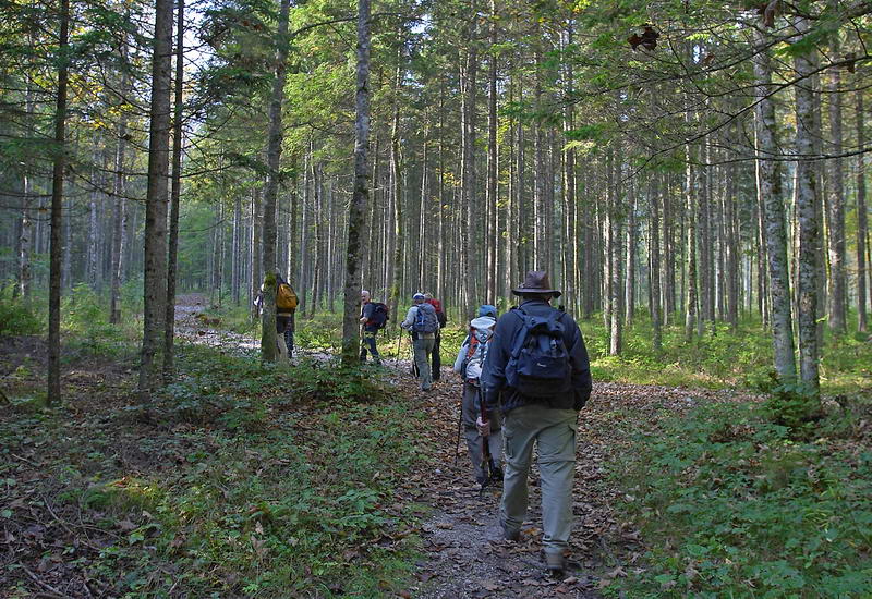 CRW_0479.jpg