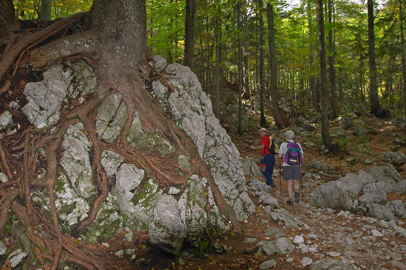 CRW_0544.jpg