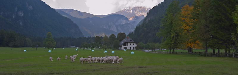 CRW_0583.jpg