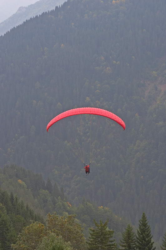 CRW_0651.jpg
